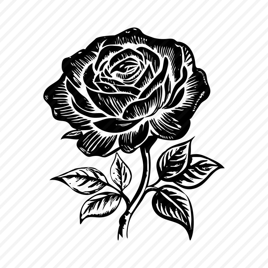 Blooming Rose preview