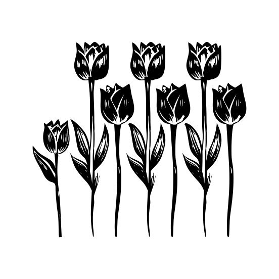 Botanical Tulip illustration