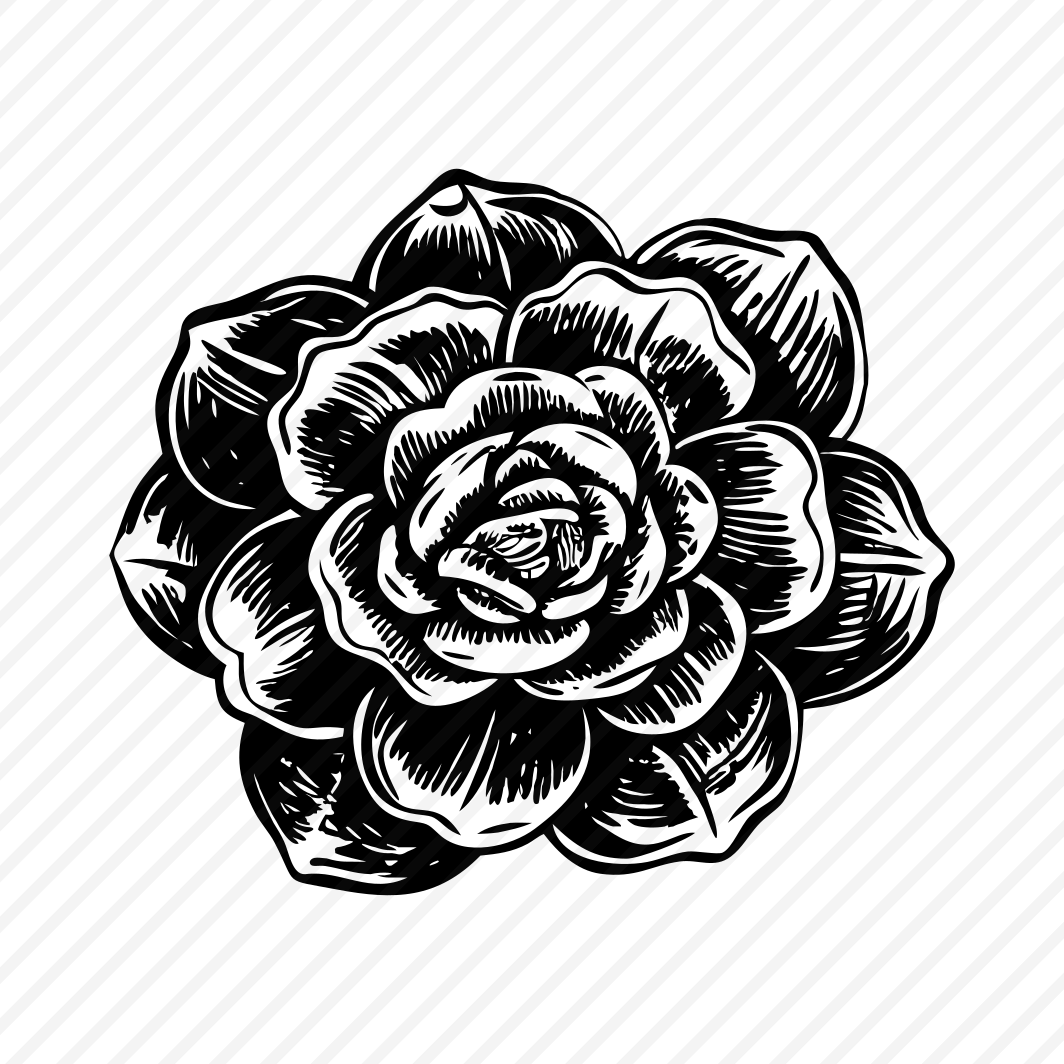 Camellia Bloom preview