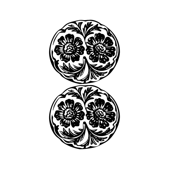 Carnation Flowers illustration