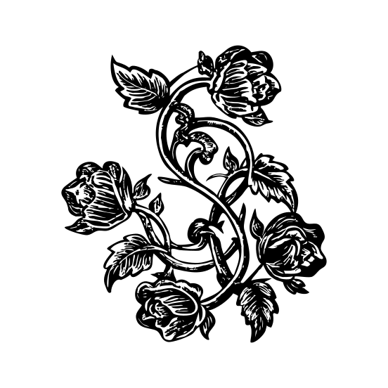 Curling Vines illustration