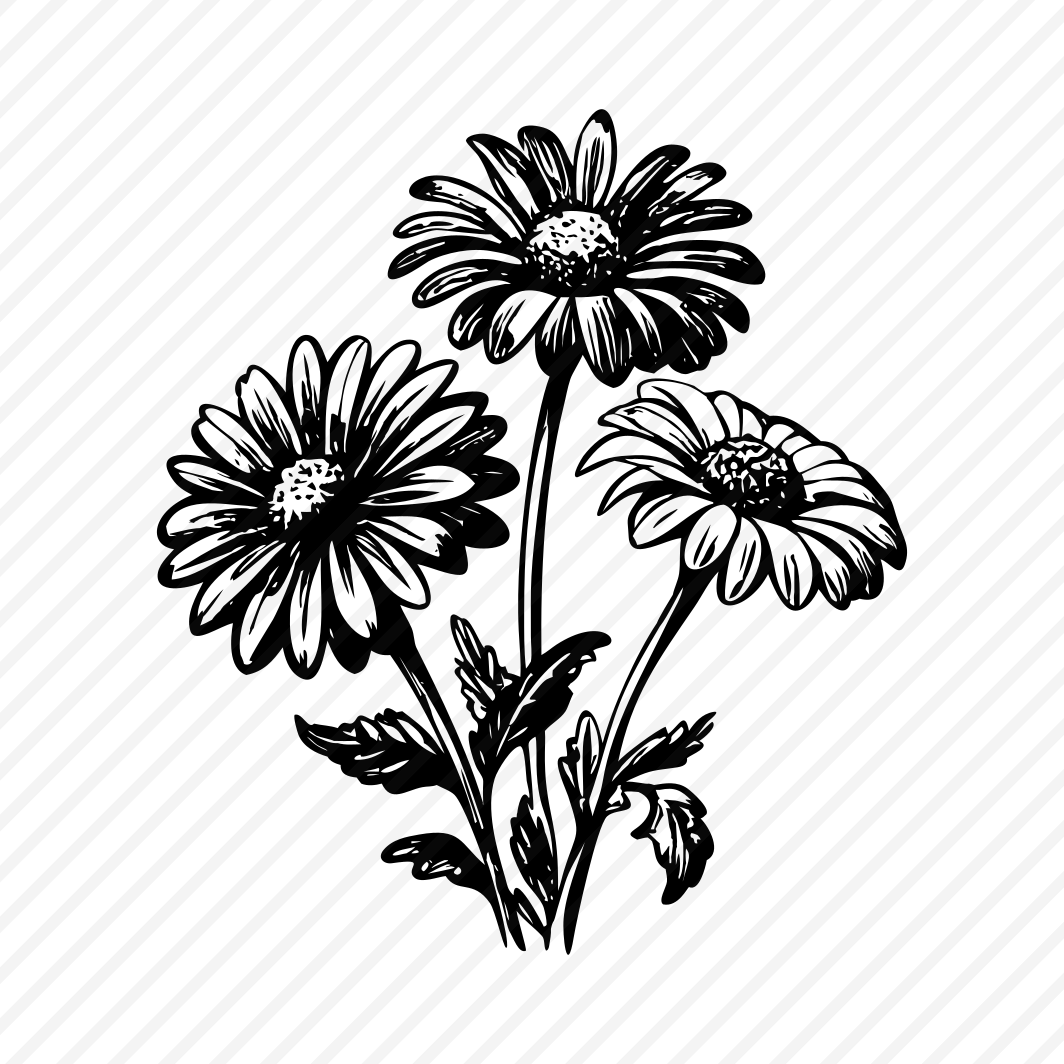 Daisy Plant preview
