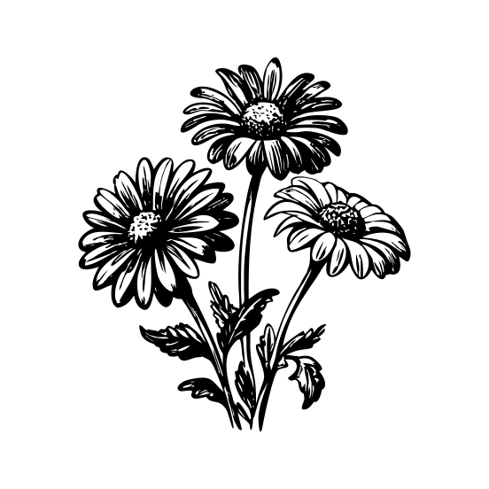 Daisy Plant illustration