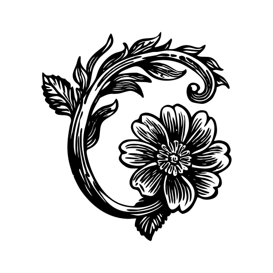 Decorative Flower illustration
