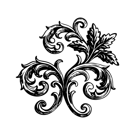 Decorative Ornate illustration
