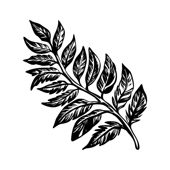 Delicate Sprigs illustration