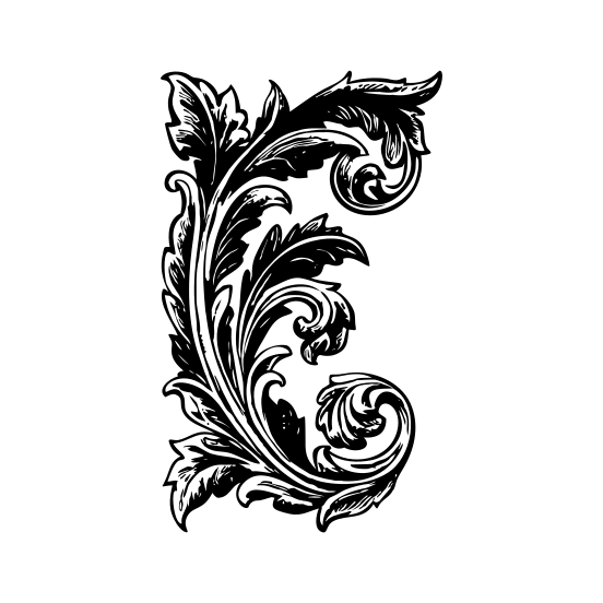 Etched Floral illustration