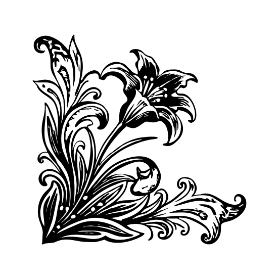 Lily Corner illustration