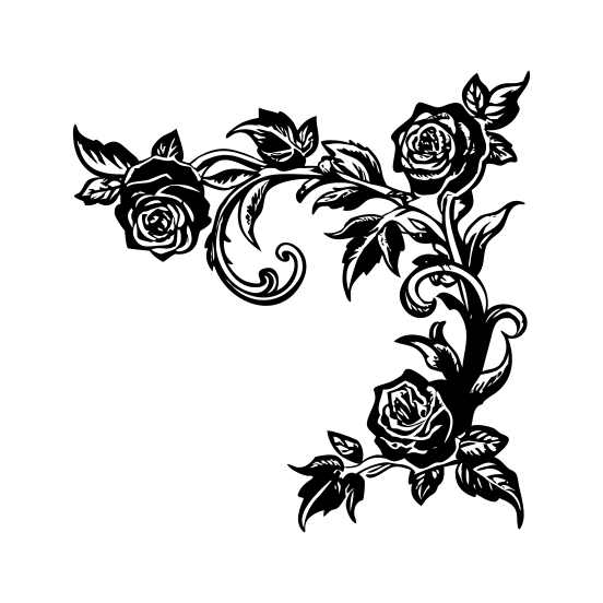 Rose Vine illustration