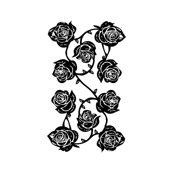 Roses illustration
