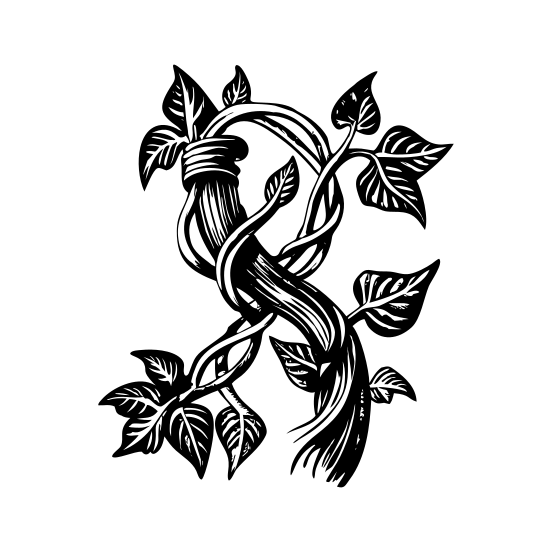 Twisting Ivy illustration