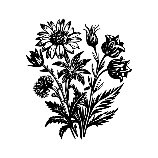 Vintage Herbarium illustration