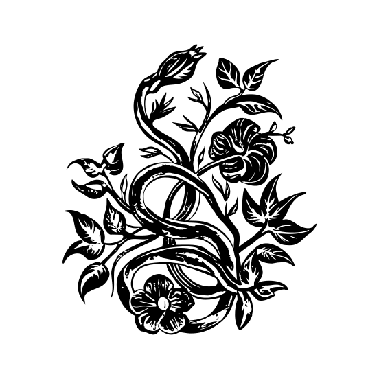 Winding Vines illustration