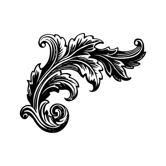 Acanthus Leaf. illustration