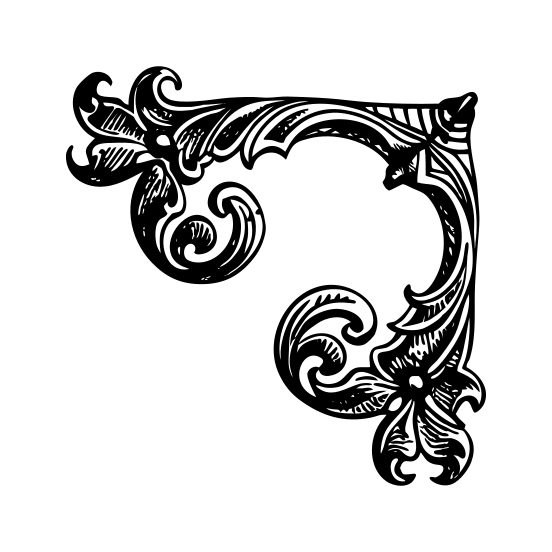 Curve Ornament illustration