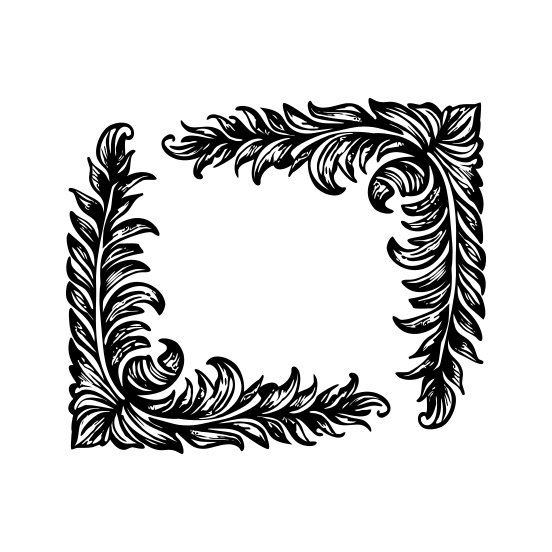 Fern Swirl illustration