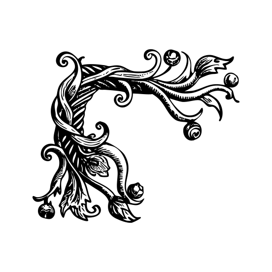 Filigree illustration