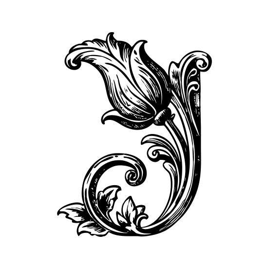 Floral Curve illustration