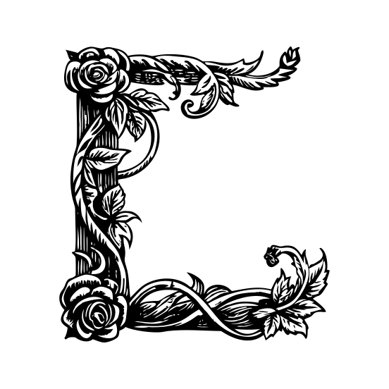 Vine Scroll illustration