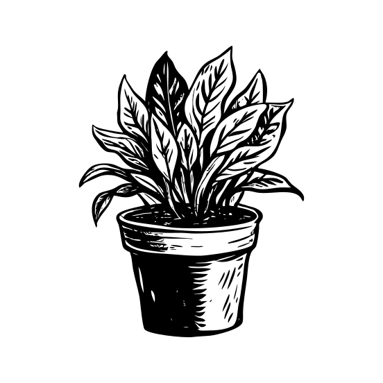 Plant Pot illustration