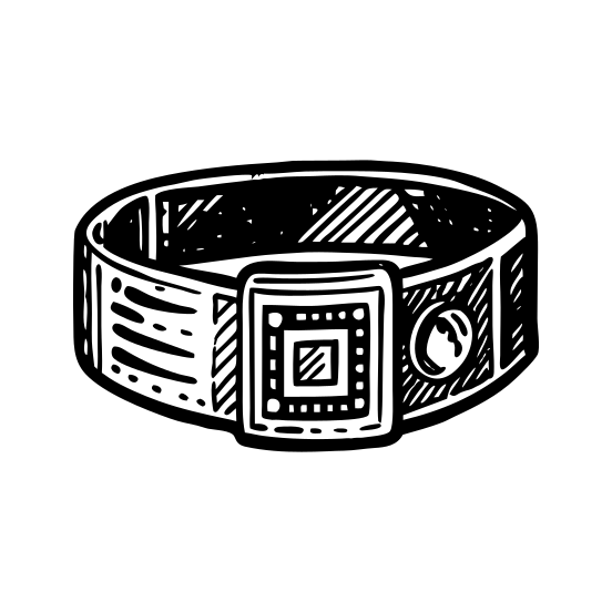 Hologram Bracelet illustration