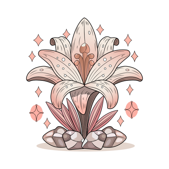 Lily Flower illustration