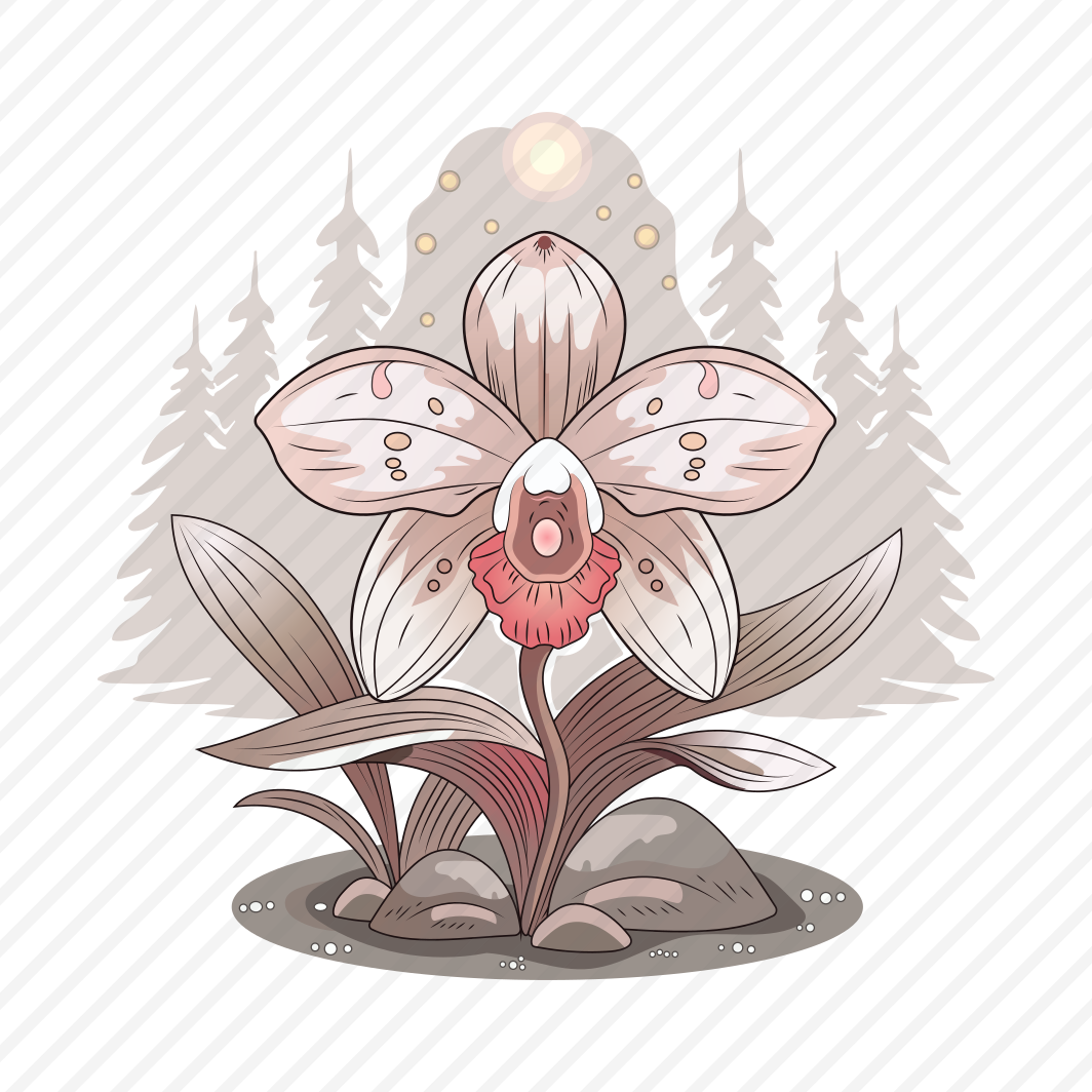 Spirit Orchid preview