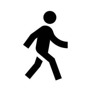 Walk Fill icon