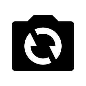Camera Switch Fill icon