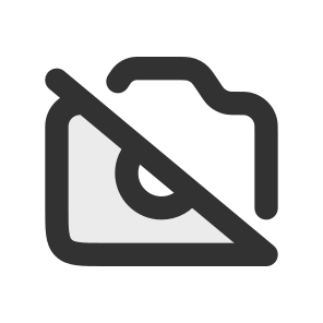 Camera Off icon