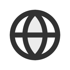 Globe icon