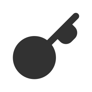 Key icon