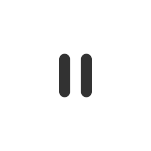 Pause icon