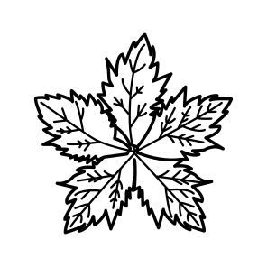 Frosted Leaf, Leafage, Foliage, Nature, Winter icon