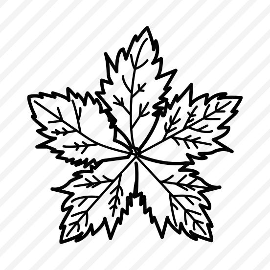 Frosted Leaf, Leafage, Foliage, Nature, Winter preview