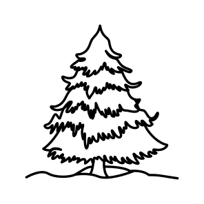 Pine Tree, Fir, Tree, Nature, Conifer icon