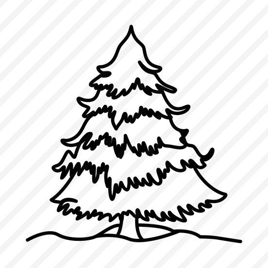 Pine Tree, Fir, Tree, Nature, Conifer preview
