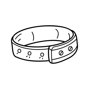 Concert Wristband, Bracelet, Armlet, Accessory, Fashion icon