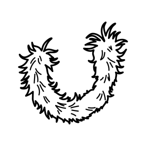 Feather Scarf, Shawl, Accessory, Fashion, Apparel, icon