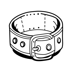 Leather Belt, Waistband, Buckle, Accessory, Belt icon