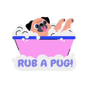 Bathing Dog, Pug, Pet, Animal, Typography icon