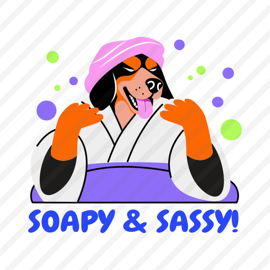 Dog Bath, Pet, Animal, Typography, Lettering preview