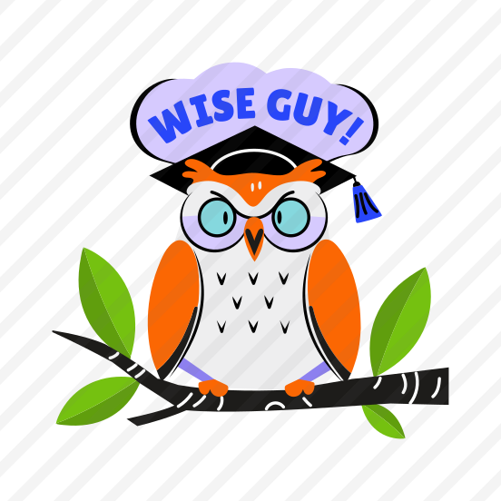 Wise Owl, Bird, Wisdom, Typography, Lettering preview