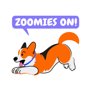 Zoomies On, Dog, Pet, Animal, Typography icon