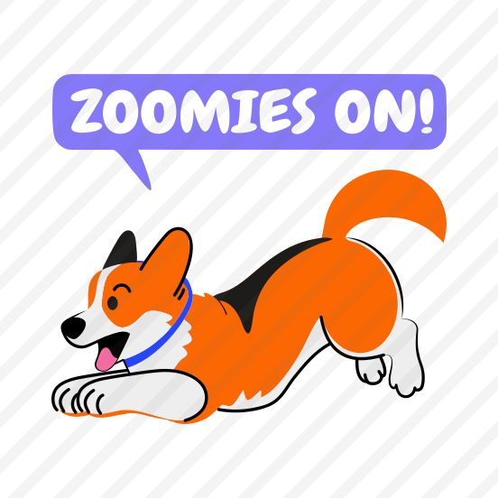 Zoomies On, Dog, Pet, Animal, Typography preview