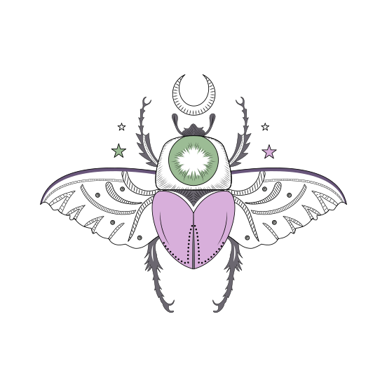 Beetle, Coleopteran, Scarab, Insect, Creature illustration