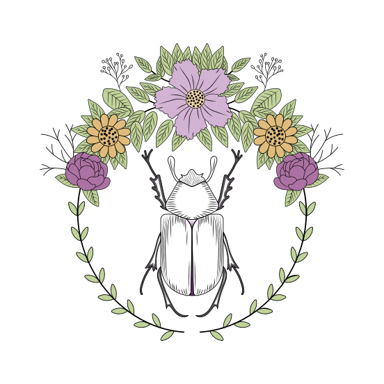 Beetle Insect, Coleopteran, Scarab, Specie, Creature illustration