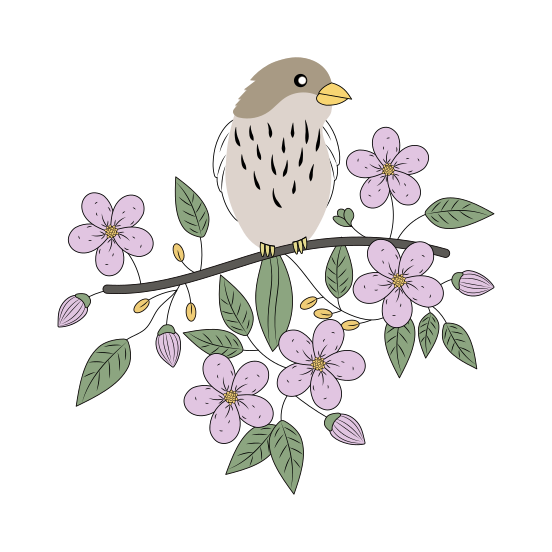 Bird, Pet, Perched, Nature, Creature illustration