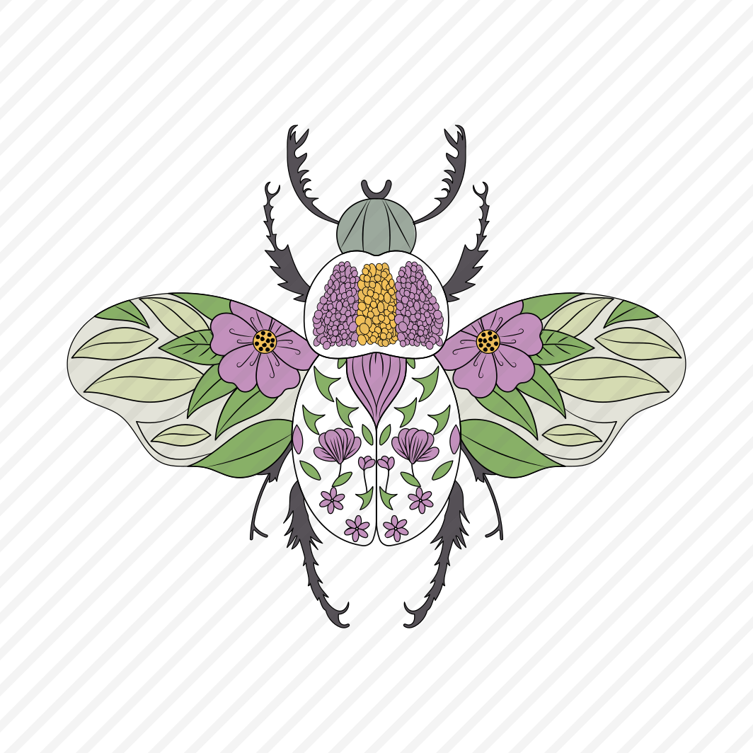 Floral Beetle, Insect, Coleopteran, Scarab, Creature preview