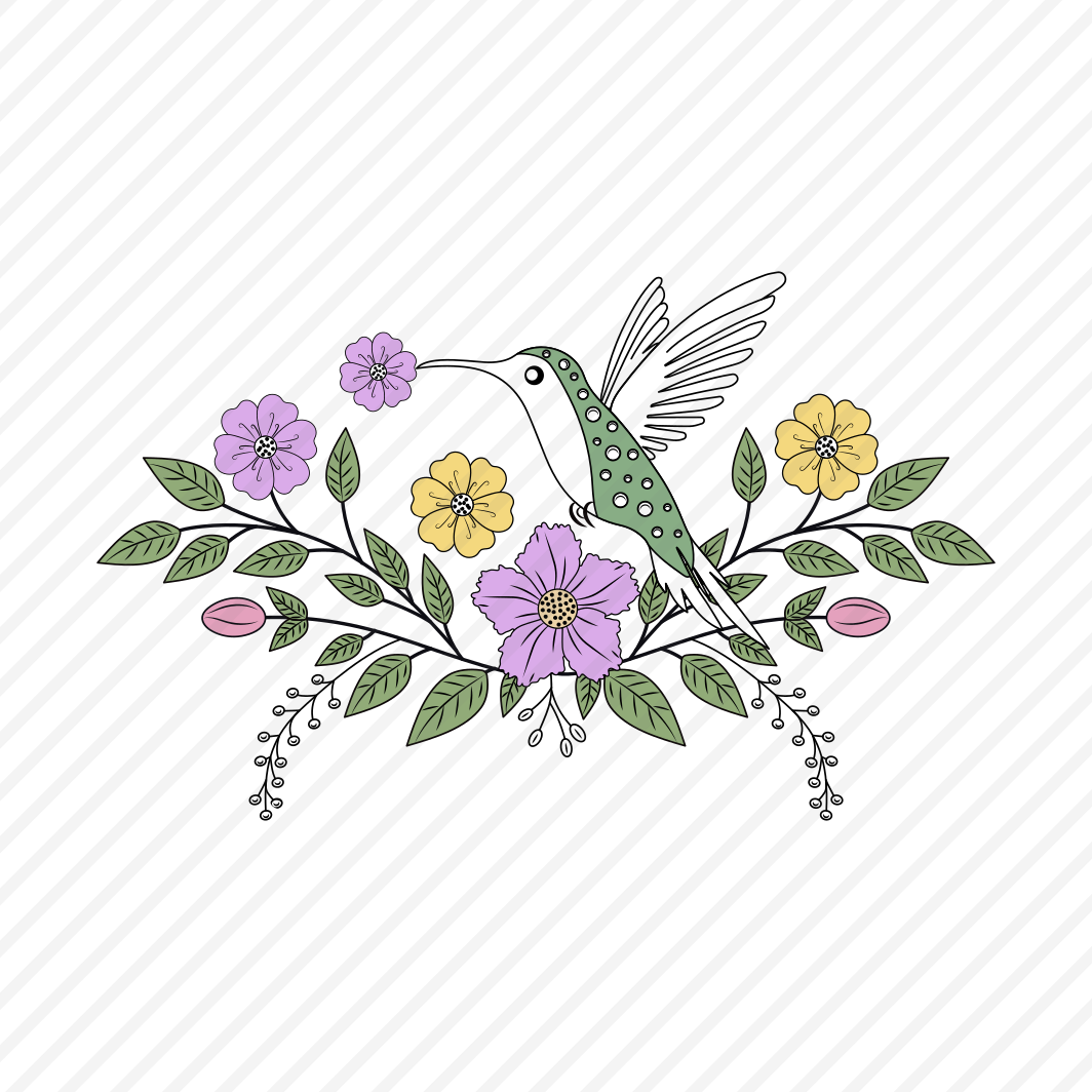 Floral Hummingbird, Trochilid, Bird, Nature, Creature preview